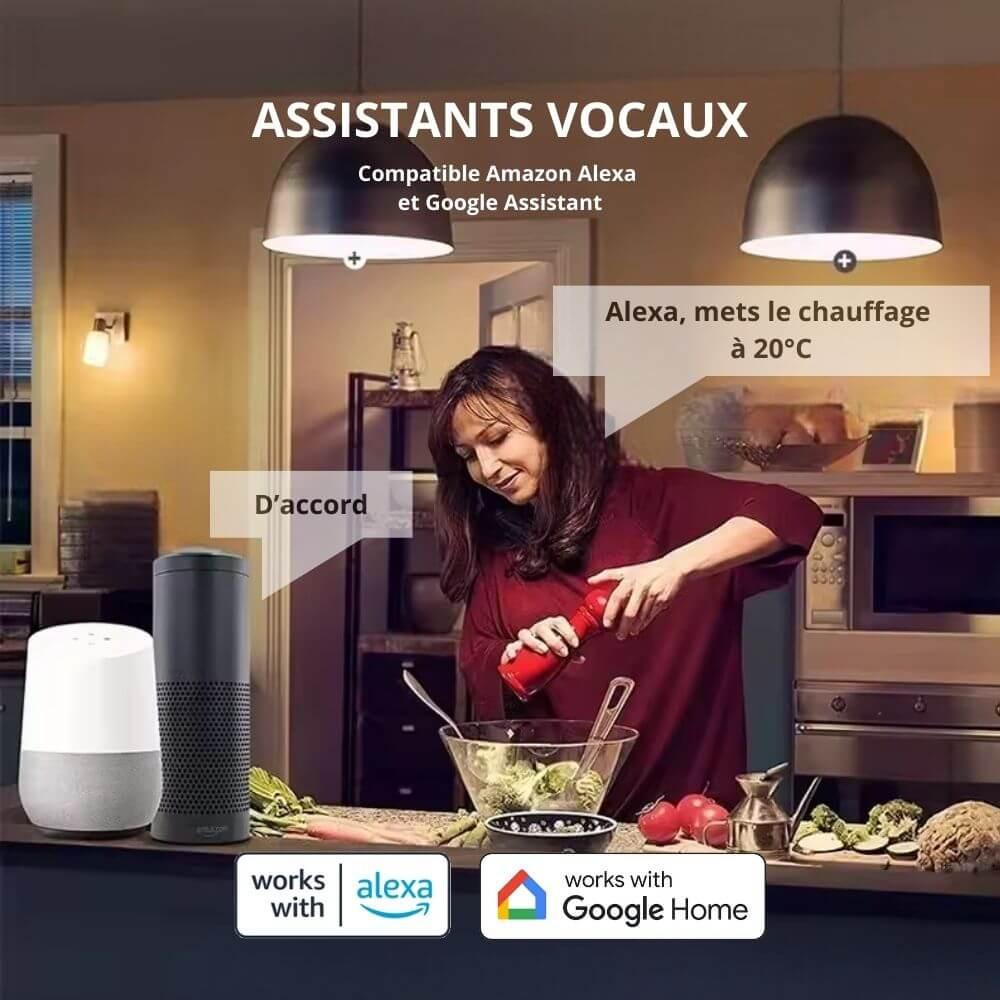 Pilotage du chauffage connecté avec Alexa ou Google Home