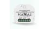 Module interrupteur connecté 10A WIFI + RF 433 MHz 2 voies